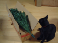 クリスマスツリー♪