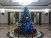 157日目 X'masイルミネーション 画像1