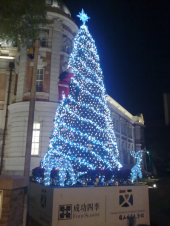 157日目 X'masイルミネーション 画像2