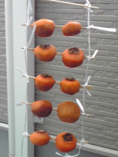 干し柿を作ってみました。 画像1