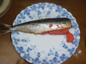 新しい事＆もらい物・・・。 画像2