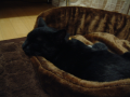 眠い･･･
