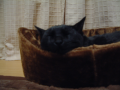 眠い･･･