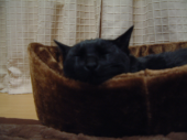 眠い･･･ 画像2