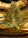 ﾟ☆｡Merry Xmas｡☆ﾟ