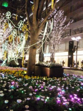 良いお年を～～～ 画像2