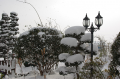 大雪