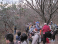中山連峰、初日の出ハイキング
