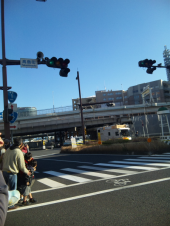 箱根駅伝に遭遇 画像1
