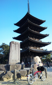 興福寺 画像1