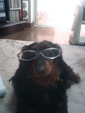 娘が撮影　ＲＯＮ 画像3