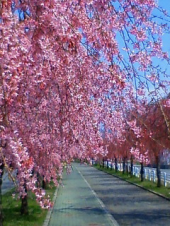さてと・・・♪ 画像1