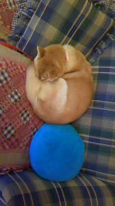 ☆アゲアゲのアラフィフ♪((((ノ^◇^)ノ ウヒョヒョヒョ 画像1