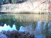 20100109 画像1