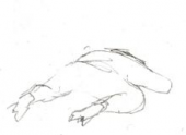 テンション低し・・・♪ 画像1