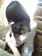 電気毛布 ３枚購入 画像1