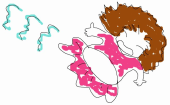 ファイト！ 画像1