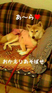 ☆ホゲェ～かっ！ 画像2
