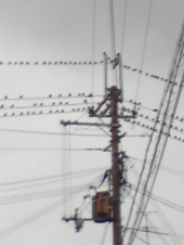 すごいーっ！ 画像1
