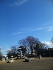 お散歩日和 画像3