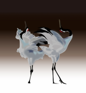 舞 画像1