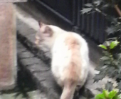 通院 画像3