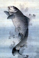 子説ぶ。 画像2