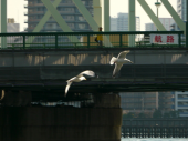 風景の面白い街。 画像2