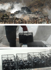 ☆臭＜美☆～（ゝ。∂） 画像1