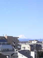 昨日はすごい風でした。。。 画像1