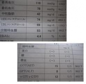 このっ、根性なし！・・・♪ 画像1