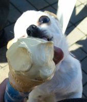 寒いけど食べたいの♪ 画像2