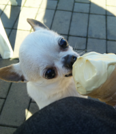 寒いけど食べたいの♪ 画像3