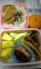 2010年2月12日 画像1