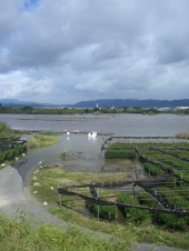 流れ橋修復 画像1