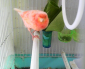 春 画像2