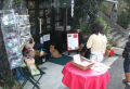 猫カフェ２９に行ってきました☆