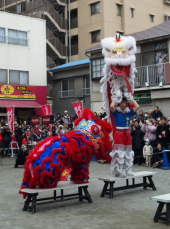 春節　２０１０ 画像1