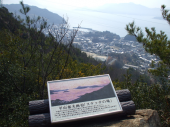 定期健診 画像1