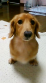 paruchanさんの画像1