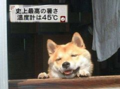 おこたろさんの画像1