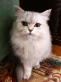 ムツキチさんの画像1