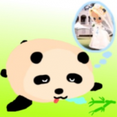ぽっちゃりさんの画像1