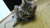 soejiさんの画像1