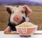 INYMさんの画像1