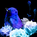 大瑠璃さんの画像1