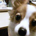 のっちくらげさんの画像1
