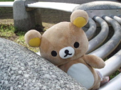 よっしぃ♪さんの画像2