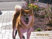 ロクちゃんさんの画像1