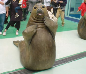 Hidemaruさんの画像1